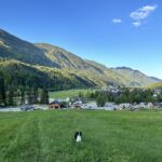 Mayra in Kranjska Gora