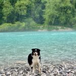Mayra an der Soca bei Regen