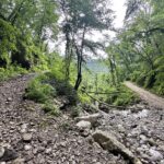 Streckenabschnitt mit großen Steinen auf dem offiziellen Radweg