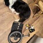 Mayra hilft den Platten zu flicken
